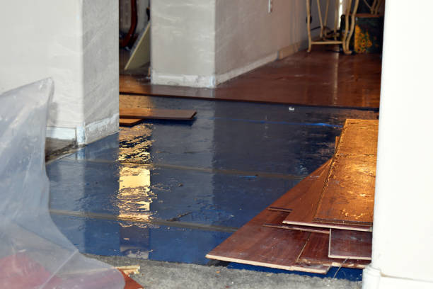 Professional Flood Damage Restoration technician working in Corona, NY